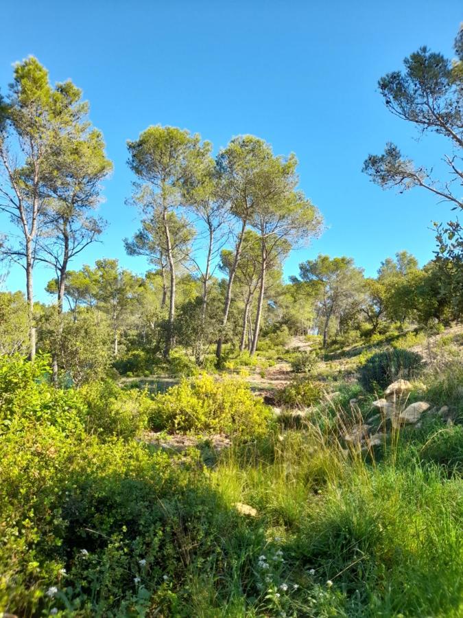 Studio Du Roc Des Garrigues Langlade Eksteriør bilde